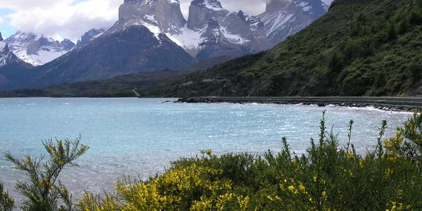 Janovce v Torres del Paine