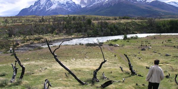 Následky požáru v Torres del Paine