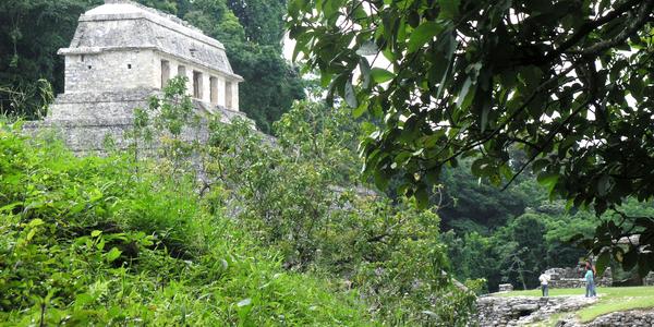 Mayské Palenque