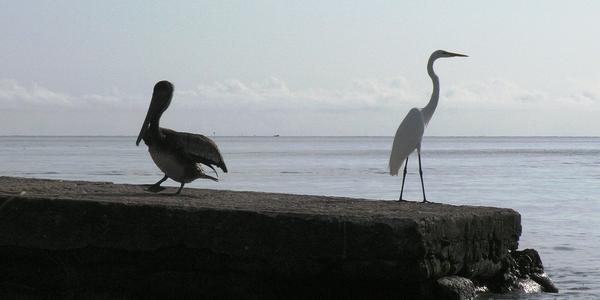 Na Rio Dulce, Guatemala