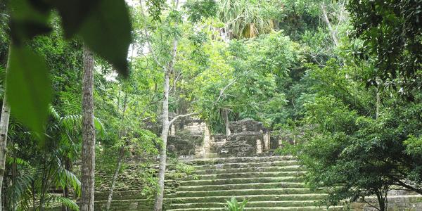 Tajemný Tikal