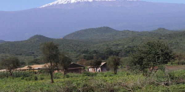 Kilimanjaro
