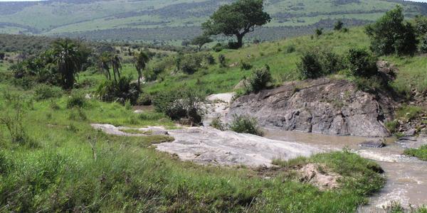 Krajina v Masai Mara