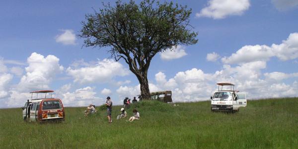 Piknik v Masai Mara