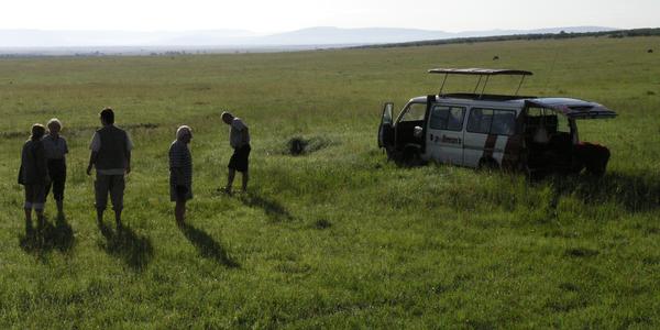 Zapadlí v bažinách Masai Mara