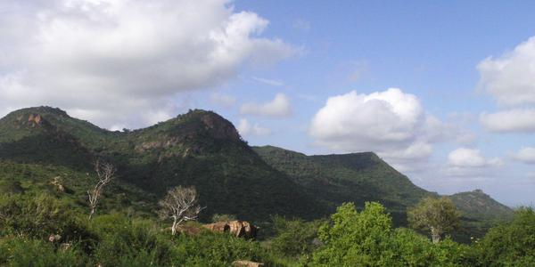 Krajina v Tsavo West