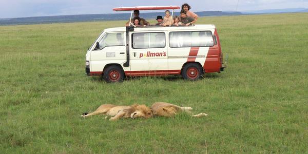Siesta v Masai Mara