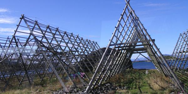 Hjellery na sušení tresek, Lofoten