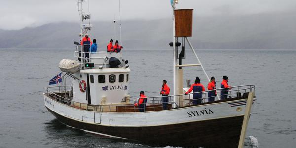 Plavba na velryby, Húsavík