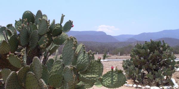 Rezervace Tahuacan Cuicatlan