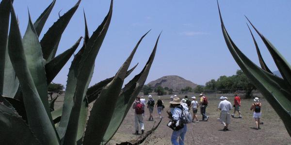 Teotihuacan