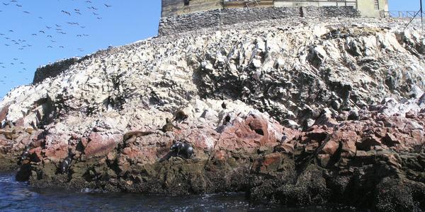 Ostrovy Islas Ballestas