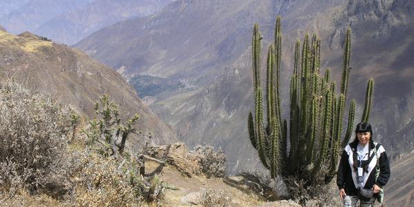 Nad kaňonem Colca
