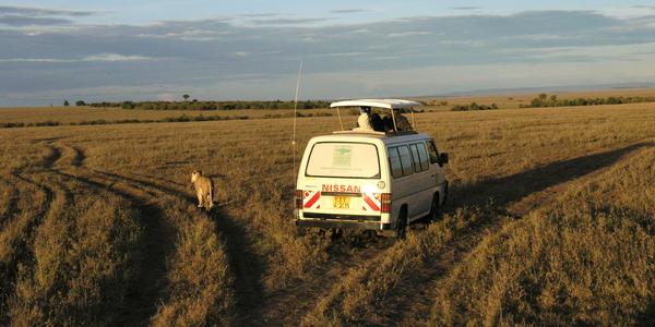Každý svou cestou, Masai Mara