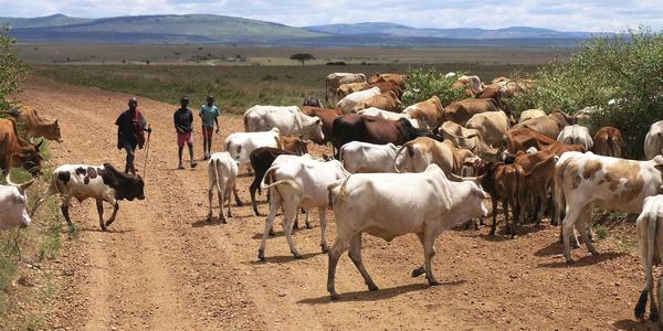 Masajové v Masai Mara