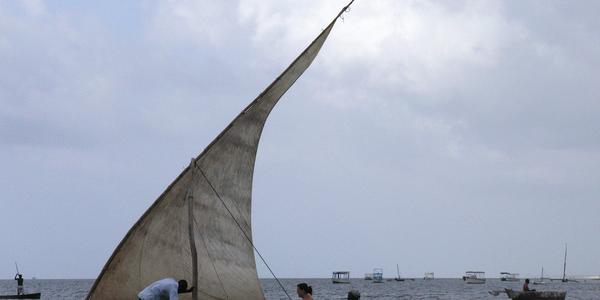Plachetnice dhow