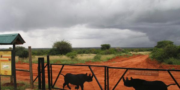 Vstup do nosorožčí rezervace, Tsavo West