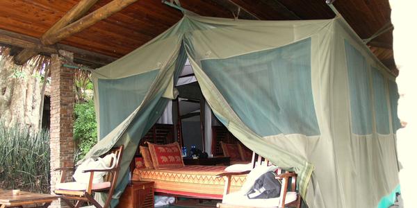 safari stan ve Fig Tree campu, Masai Mara