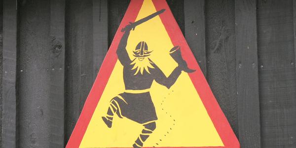 Pozor Viking, Hofnafjordur