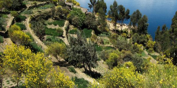 Terasy Slunečního ostrova, Titicaca