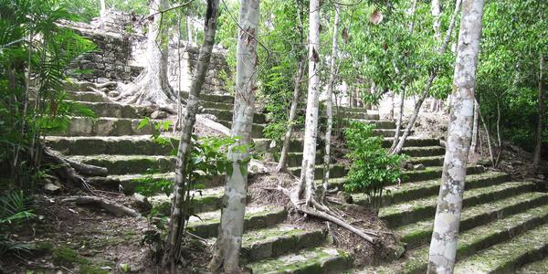 MX_Mayská lokalita Calakmul, Mexiko