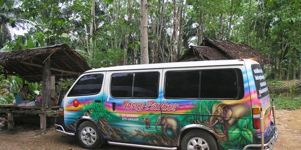 Celodenní výlet na Krabi