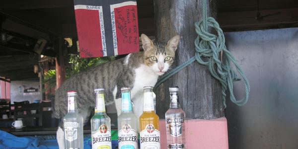Norský bar na Phi Phi