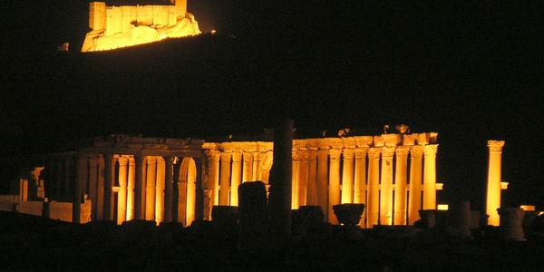Noční Palmyra