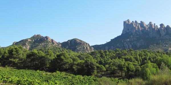 Skály Montserratu