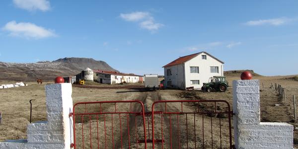Farma u Gerduberg