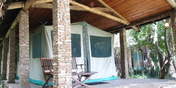 Fig Tree camp, safari stany,  Masai Mara