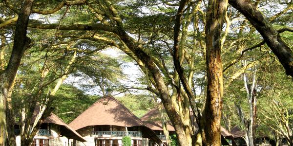 Sopa Lodge u jezera Naivasha