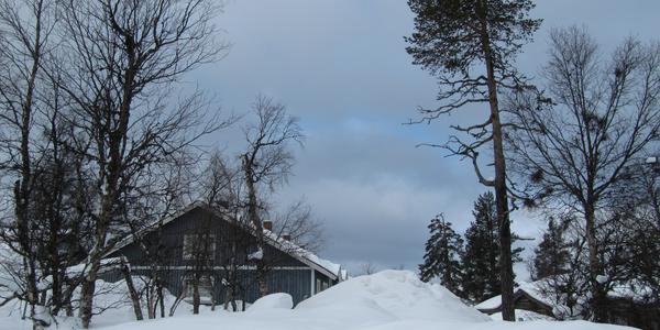 Dvoubarevná krajina