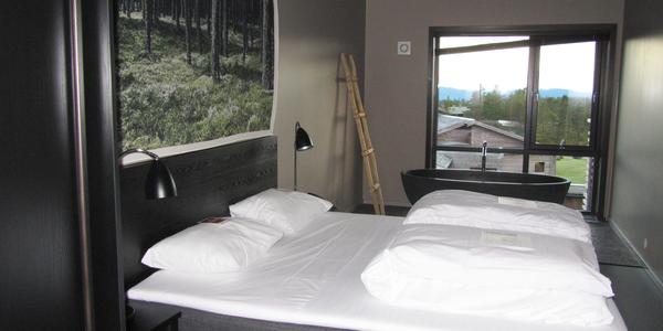 Ložnice v hotelu  Norefjell