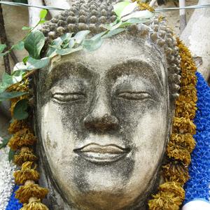 Buddha v Ayutthaya