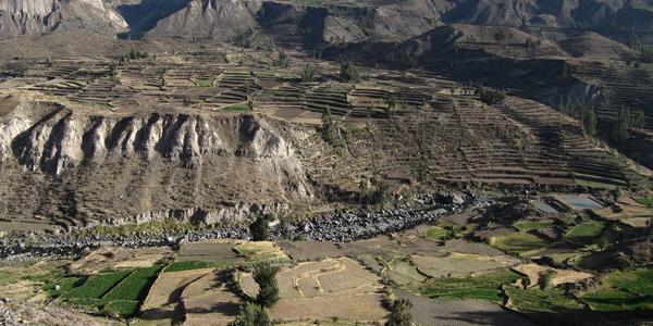 Kaňon Colca
