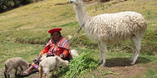 U Tambo Machay