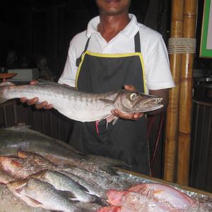 Piraňa k večeři, Krabi