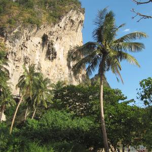 Stanování na  Tonsai beach, Krabi