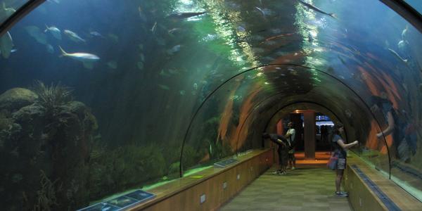 Oceanografické muzeum, Valencie