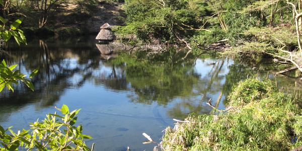 Mzima Springs