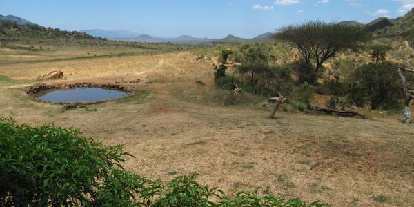 Napajedlo, Tsavo West