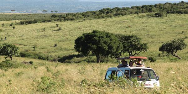 Safari, Masai Mara