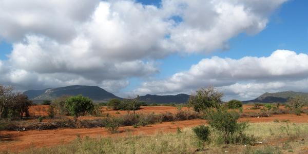 Tsavo West