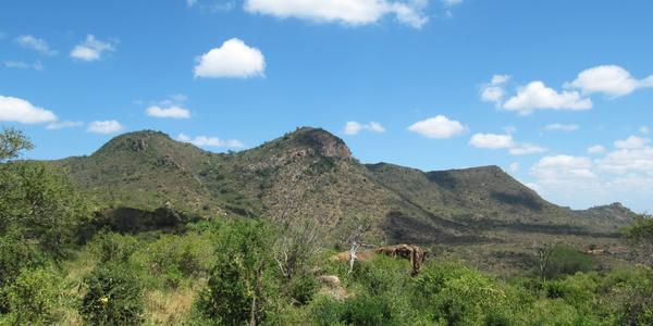Zelené pahorky africké, Tsavo West
