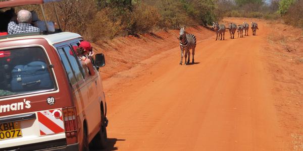 Červená krajina, Tsavo West