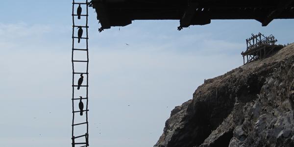 Islas Ballestas