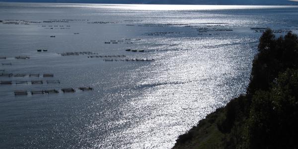 Jako z Pokladu na Stříbrném jezeře, Titicaca