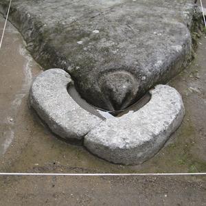 Kondor na Machu Picchu