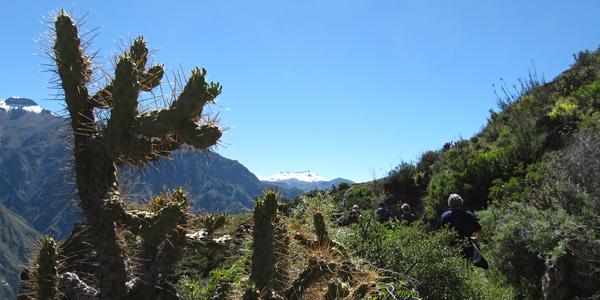 Krajina kaňonu Colca